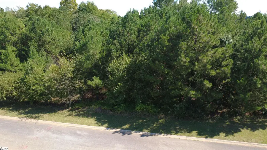 208 Carrageen Drive, Williamston, SC 29697 - #2