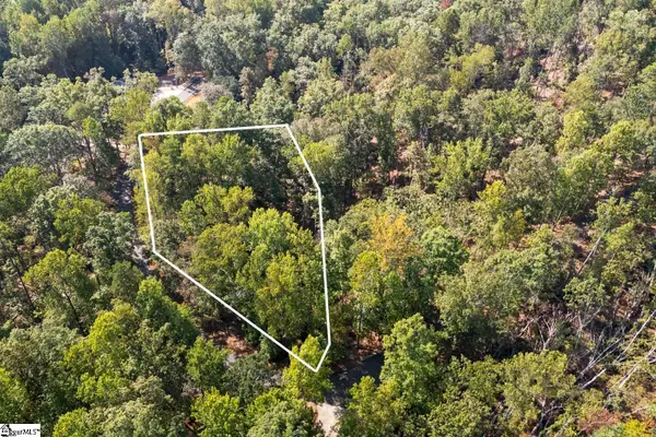 142 Summit Pine, Sunset, SC 29685