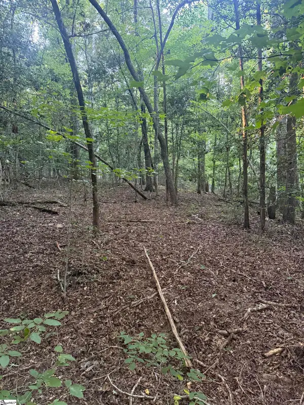 627 Daventon Road, Honea Path, SC 29654