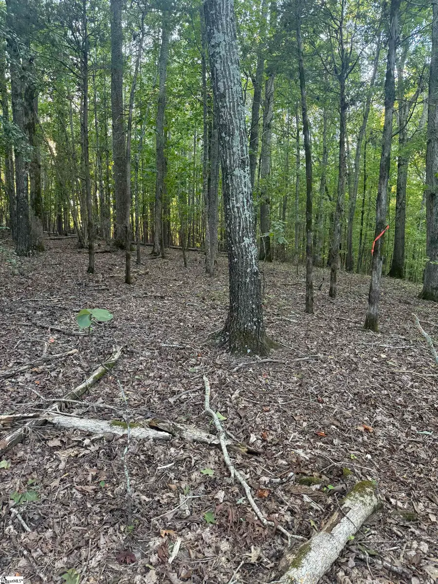 627 Daventon Road, Honea Path, SC 29654 - #2