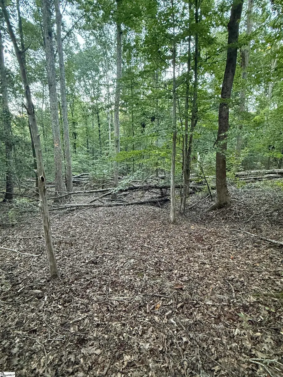 627 Daventon Road, Honea Path, SC 29654 - #3
