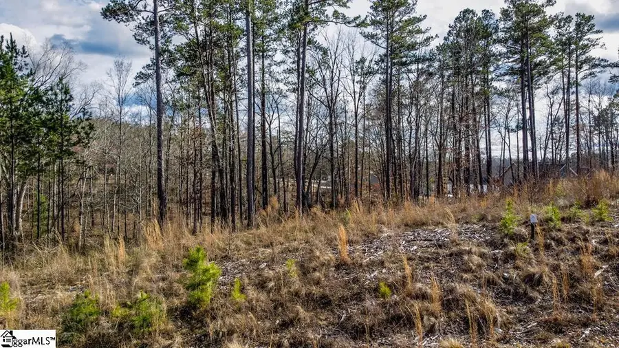 0 Lot 22 Waterside Point, Abbeville, SC 29620 - #2