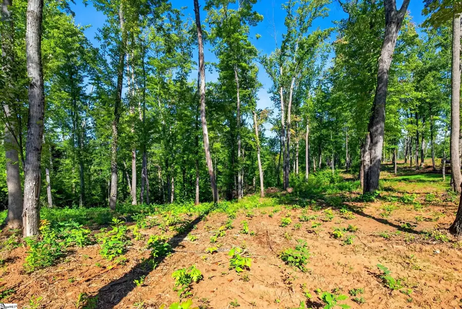 520 Chinquapin Road #Lot 2, Travelers Rest, SC 29690 - #3