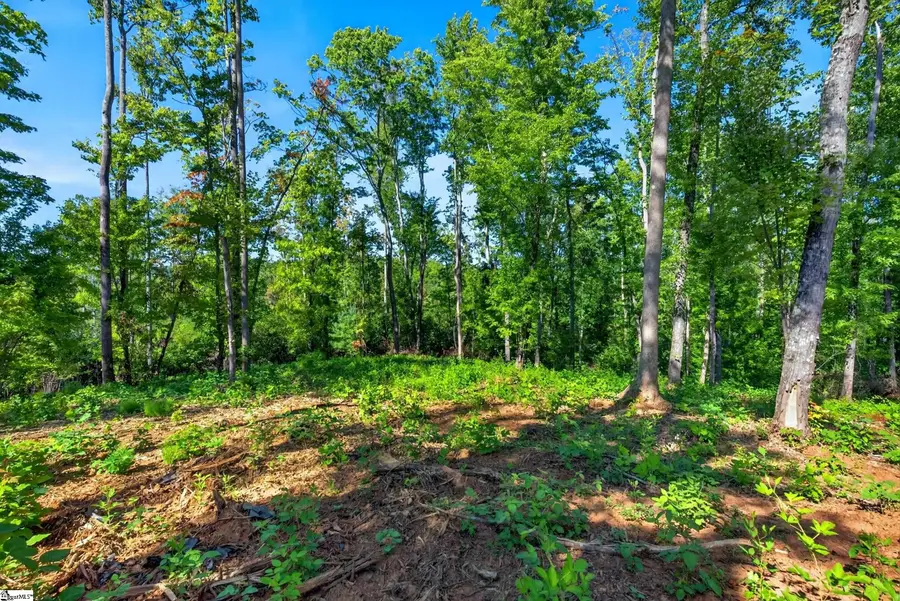 530 Chinquapin Road #Lots 3 & 4, Travelers Rest, SC 29690 - #3