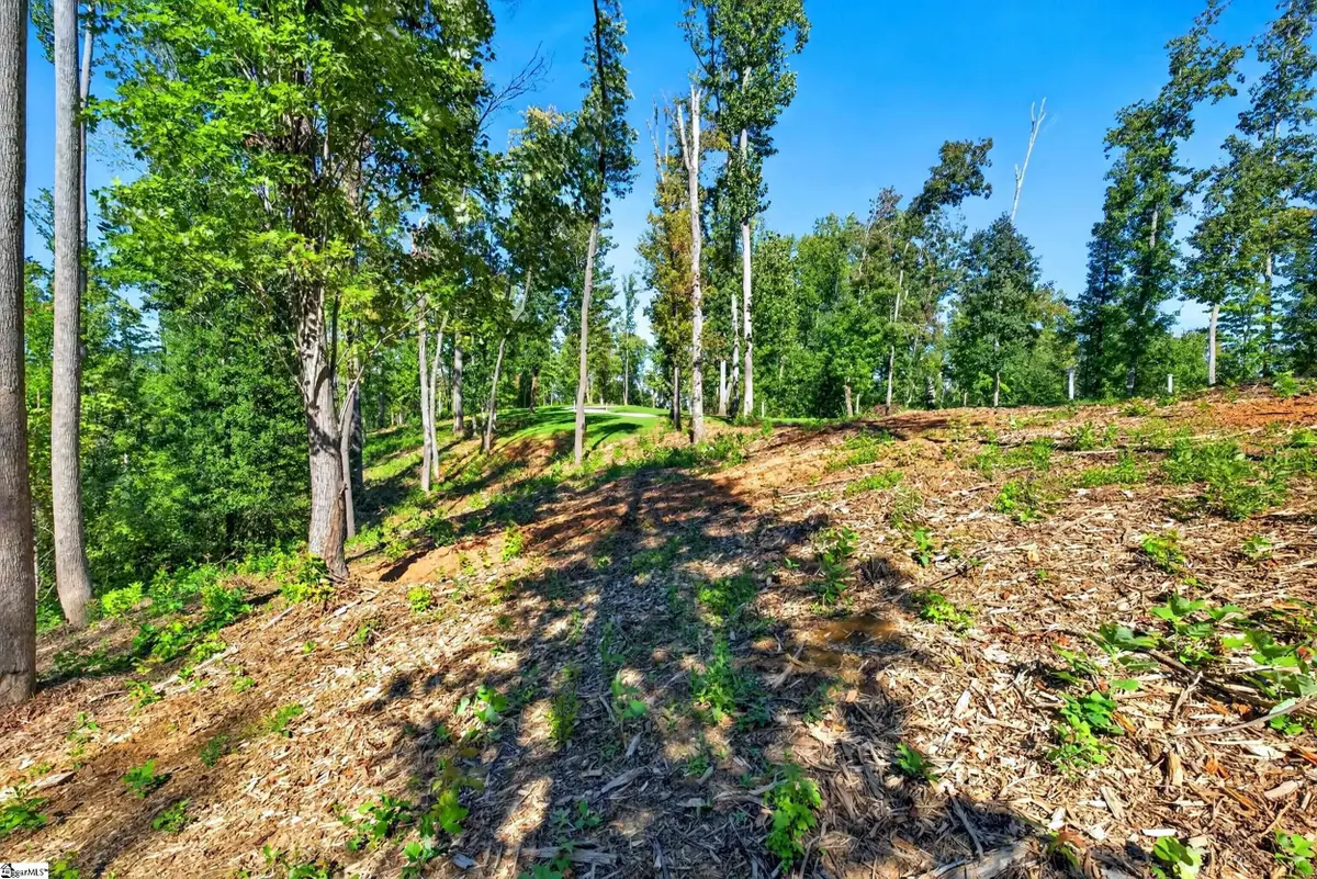 540 Chinquapin Road #Lot 5, Travelers Rest, SC 29690 - #1