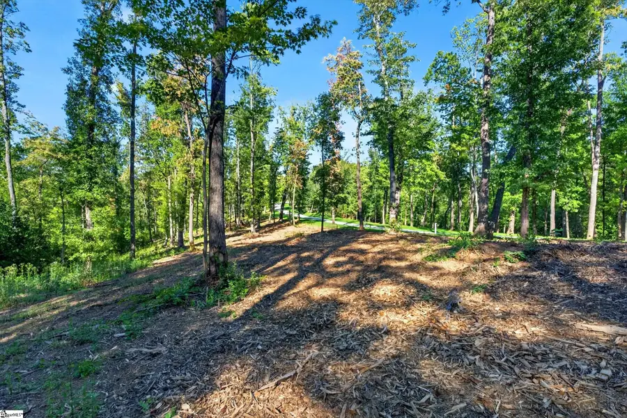 540 Chinquapin Road #Lot 5, Travelers Rest, SC 29690 - #3