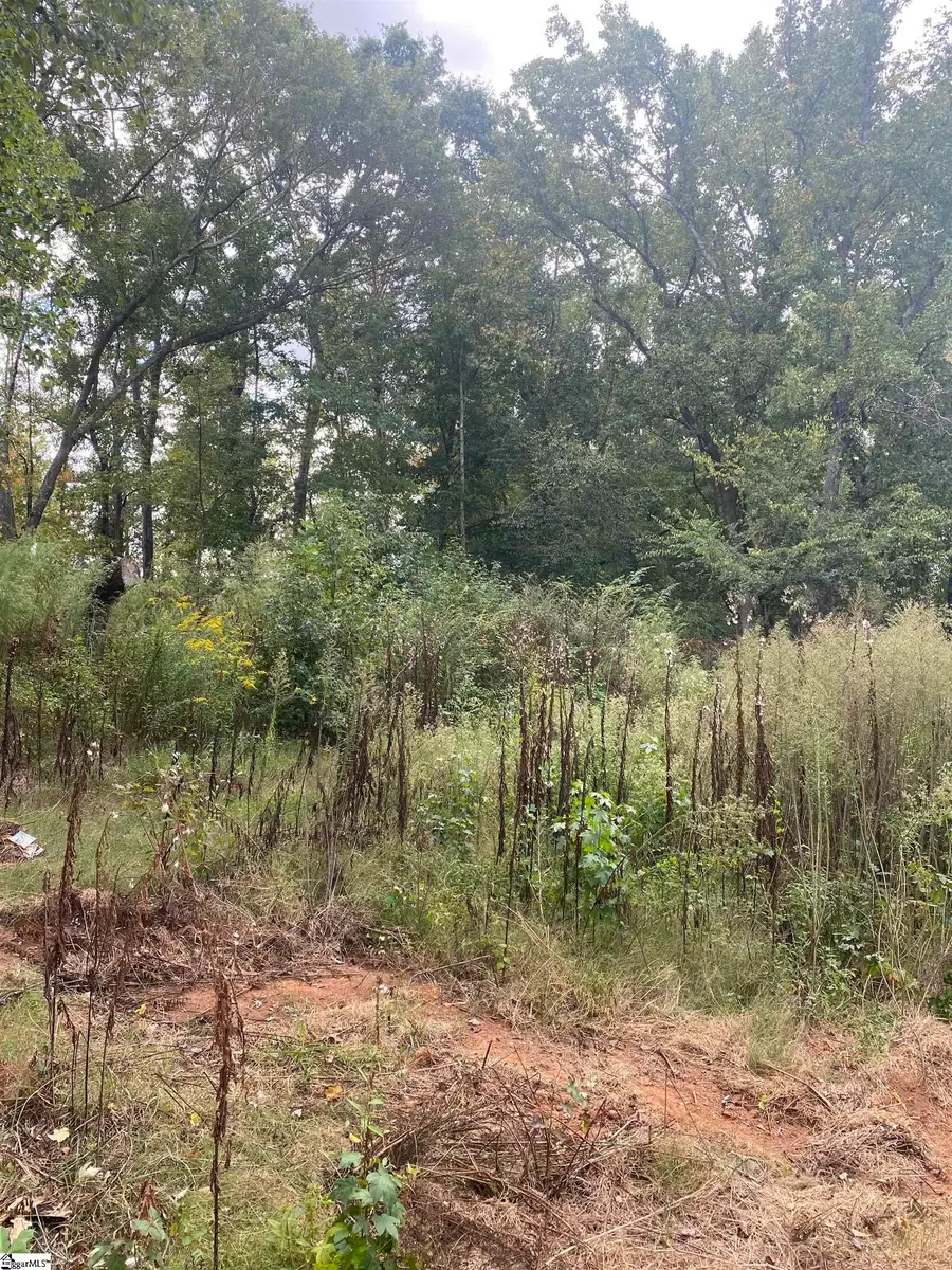 0 Burns Road, Greer, SC 29651 - #2