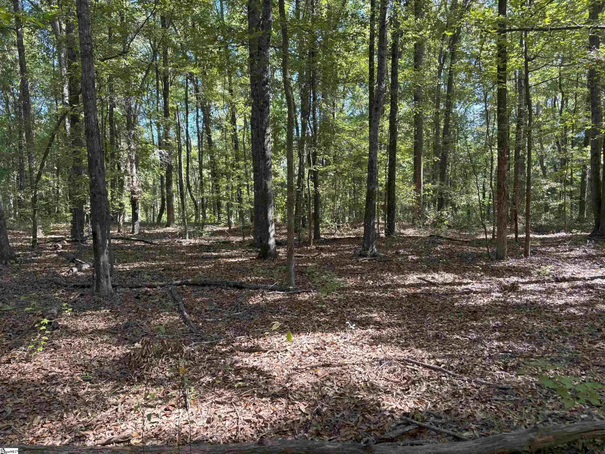 100 Hollywood Drive, Fountain Inn, SC 29644 - #1