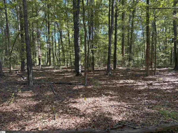 100 Hollywood Drive, Fountain Inn, SC 29644