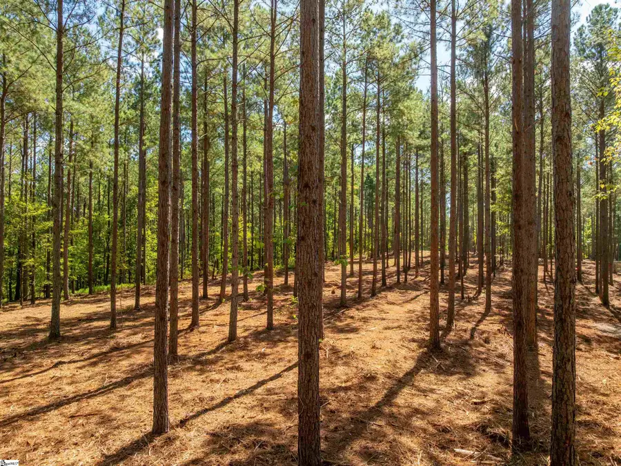 03 Oak Hill Road, Belton, SC 29627 - #3