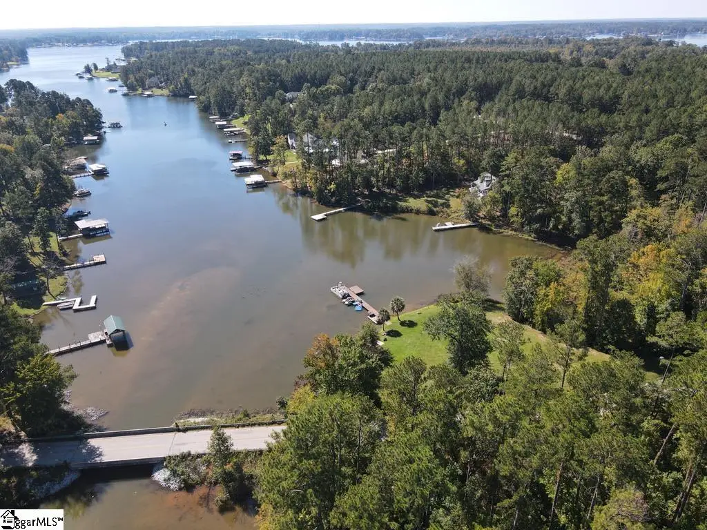 0 Pineland Road, Chappells, SC 29332 - #1