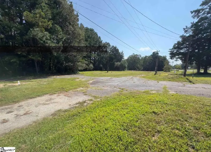 13250 W 76 Highway, Gray Court, SC 29645 - #2