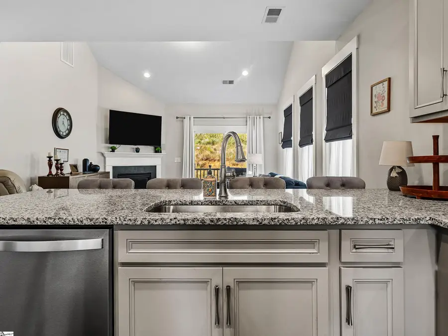 219 Green River Way, Greenville, SC 29607 - #3