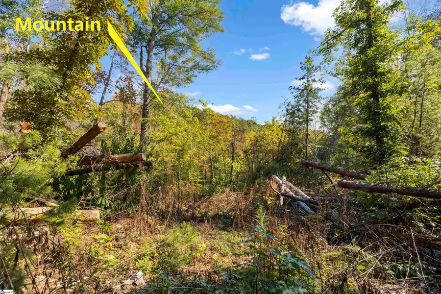 126 Valley Lake Trail, Travelers Rest, SC 29690 - #3
