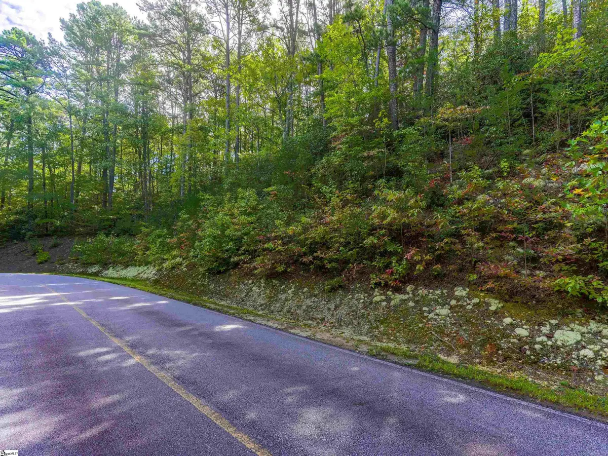 000 Glen Hollow Road, Travelers Rest, SC 29690 - #1