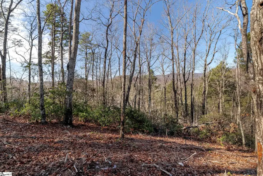 198 Wood Violet Trail, Marietta, SC 29661 - #2