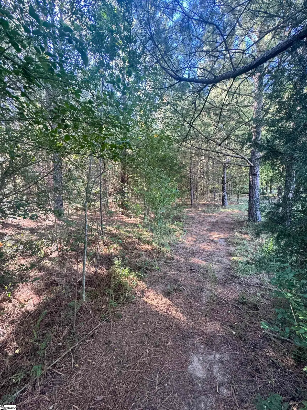 153 Highway 11, Landrum, SC 29356 - #1