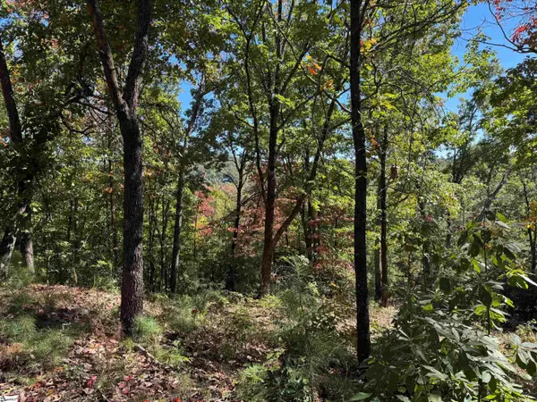 Speckled Grouse Way, Marietta, SC 29661
