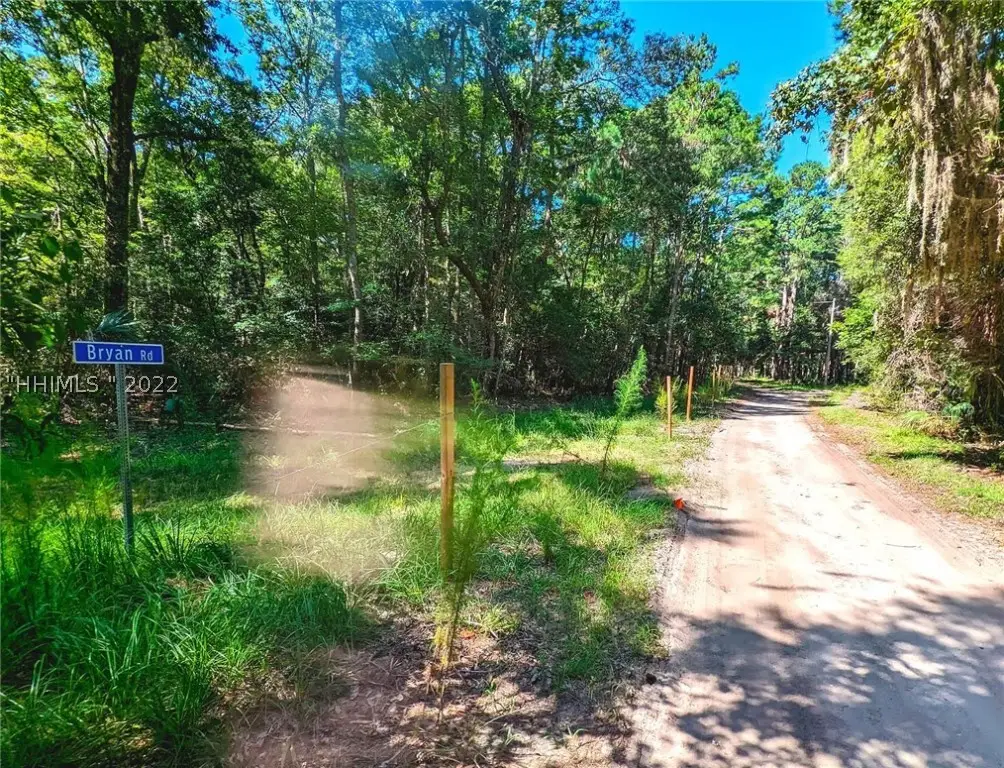 46 Bryan Road, Daufuskie Island, SC 29915 - #1