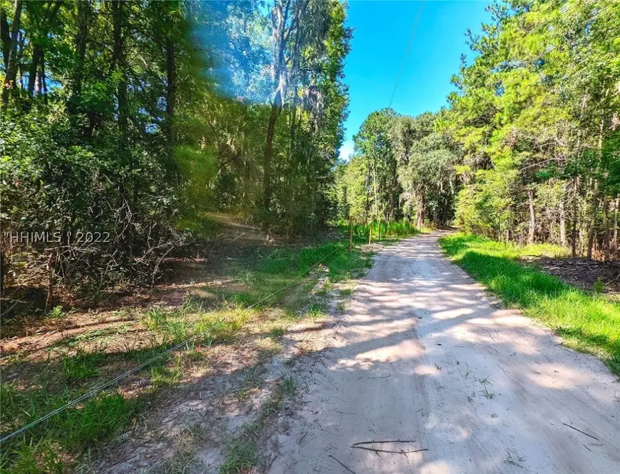 46 Bryan Road, Daufuskie Island, SC 29915 - #2