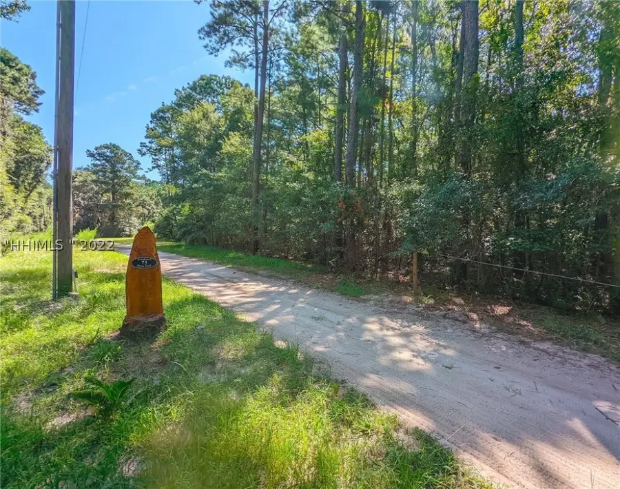 46 Bryan Road, Daufuskie Island, SC 29915 - #3