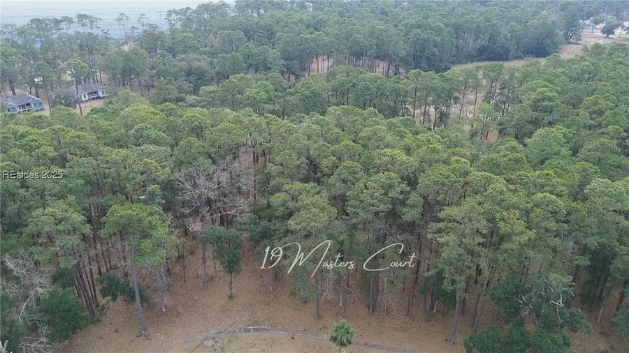 19 Masters Court, Daufuskie Island, SC 29915 - #2
