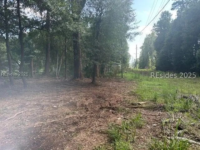 9 Horton Trail, Beaufort, SC 29906 - Image #3