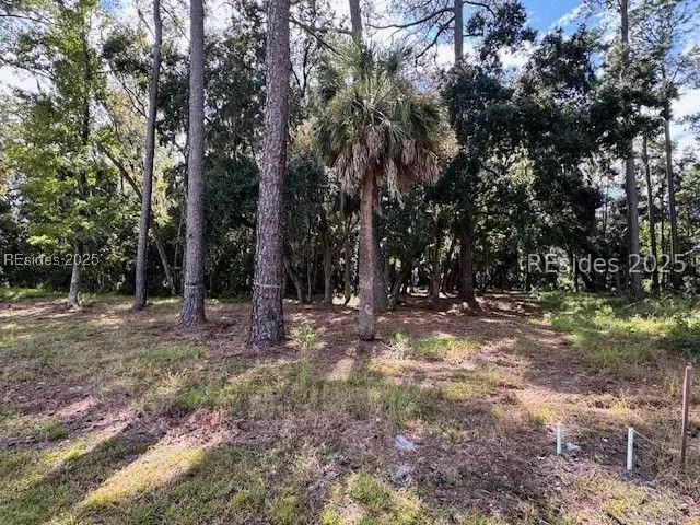 192 Vinson Road, Bluffton, SC 29910 - Image #2
