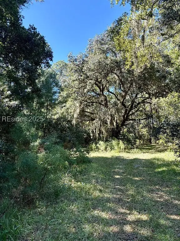 43 Christinas Court, Daufuskie Island, SC 29915 - #1