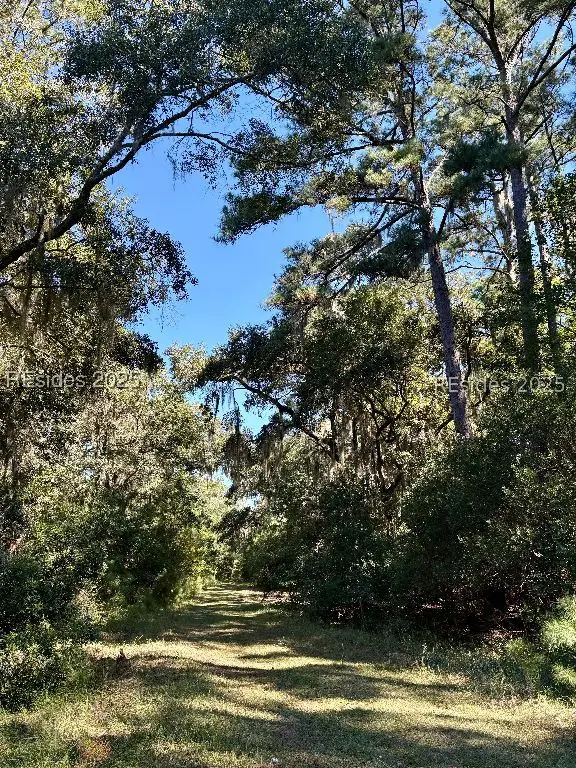 43 Christinas Court, Daufuskie Island, SC 29915 - #2