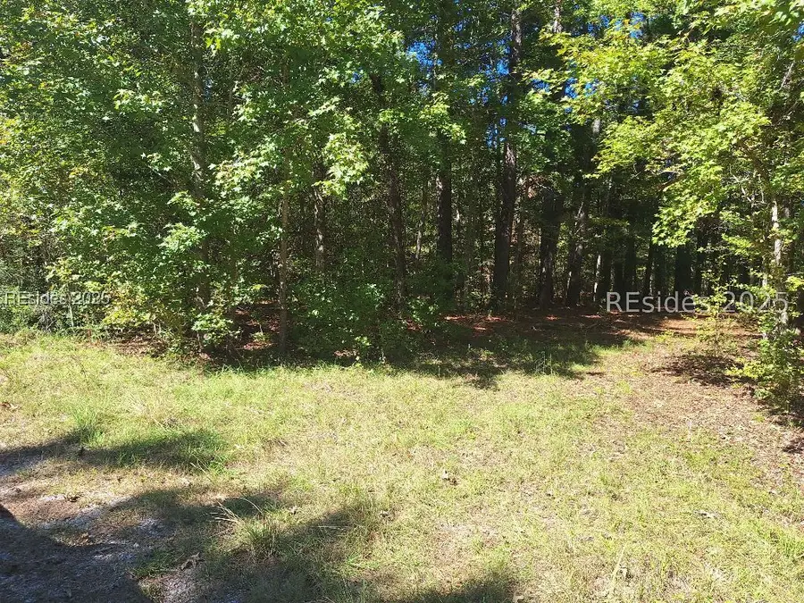 00 Vahalla Way, Cottageville, SC 29435 - Image #2