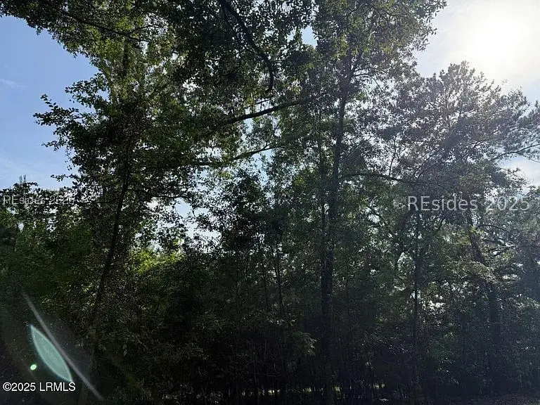 12 Bellinger Lake Lane, Seabrook, SC 29940 - Image #2