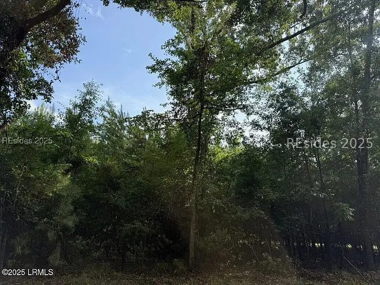 12 Bellinger Lake Lane, Seabrook, SC 29940 - Image #3