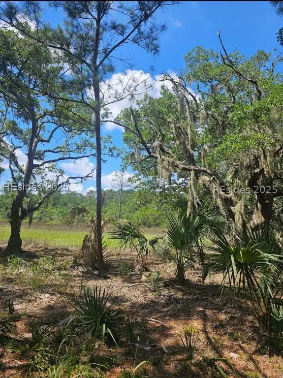 11 Hasell Pointe Road, Okatie, SC 29909 - Image #2