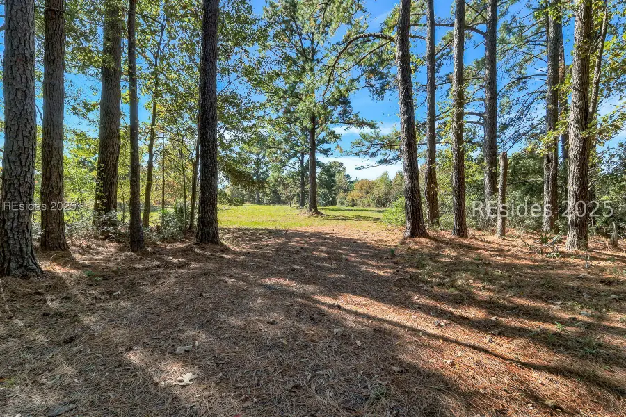 782 Strawberry Hill Road, Ridgeland, SC 29936 - #2