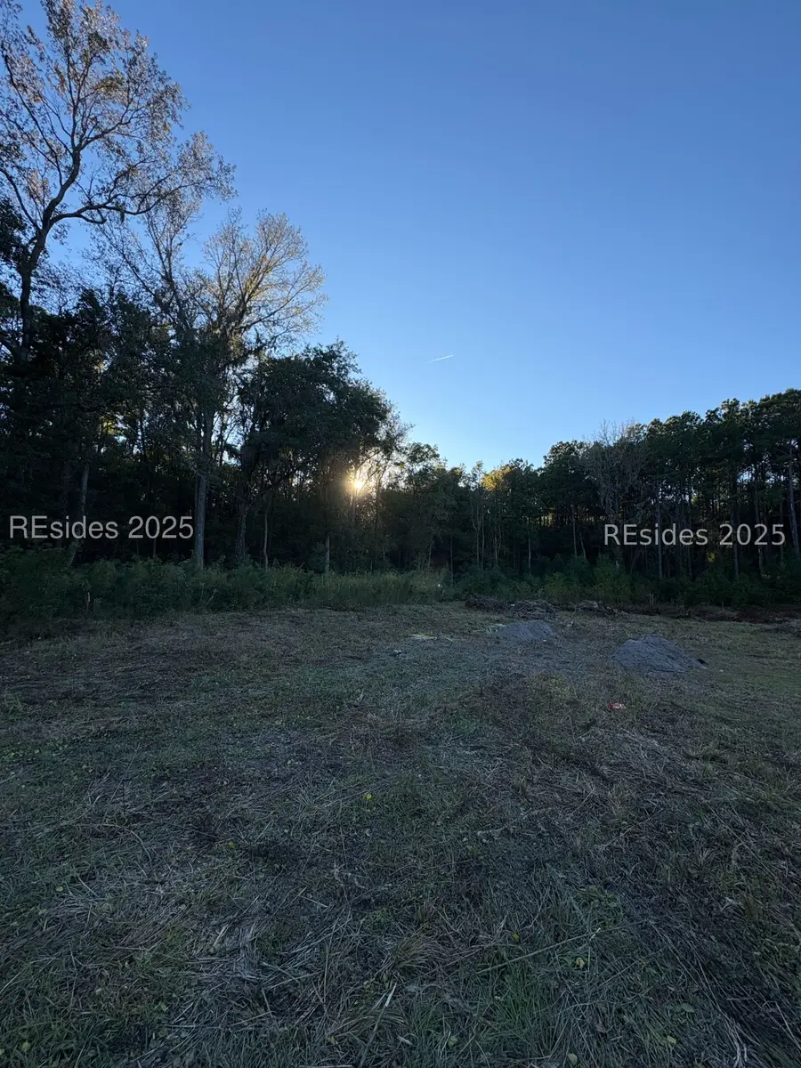 0 Simmonsville Road, Bluffton, SC 29910 - Image #2