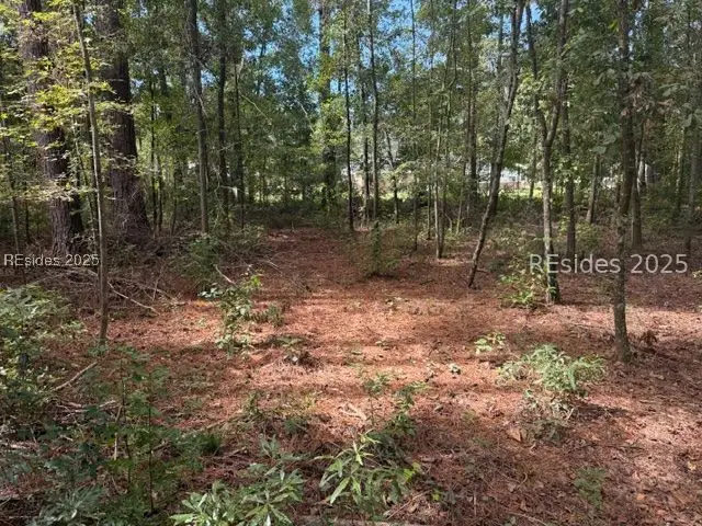 169 Red Breast Lane, Ridgeland, SC 29936 - Image #1