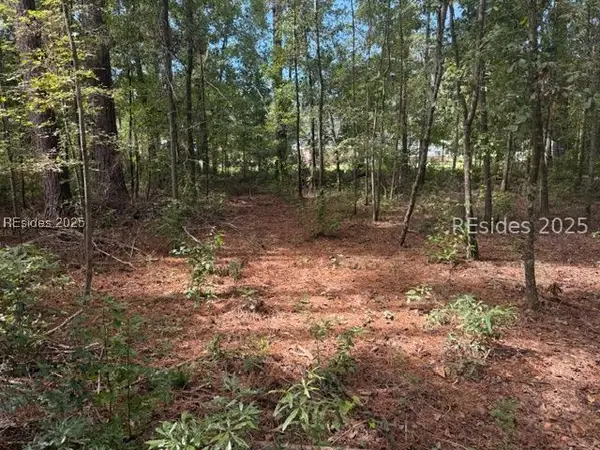 169 Red Breast Lane, Ridgeland, SC 29936