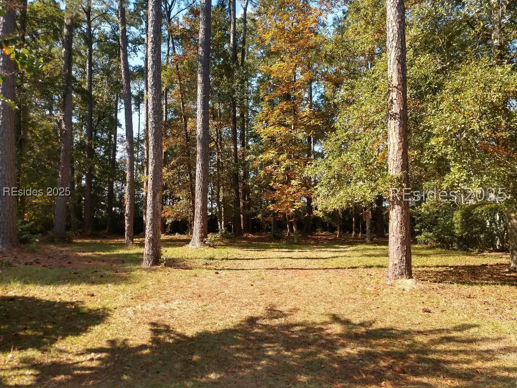 6 Oakland Place, Bluffton, SC 29909 - Image #1