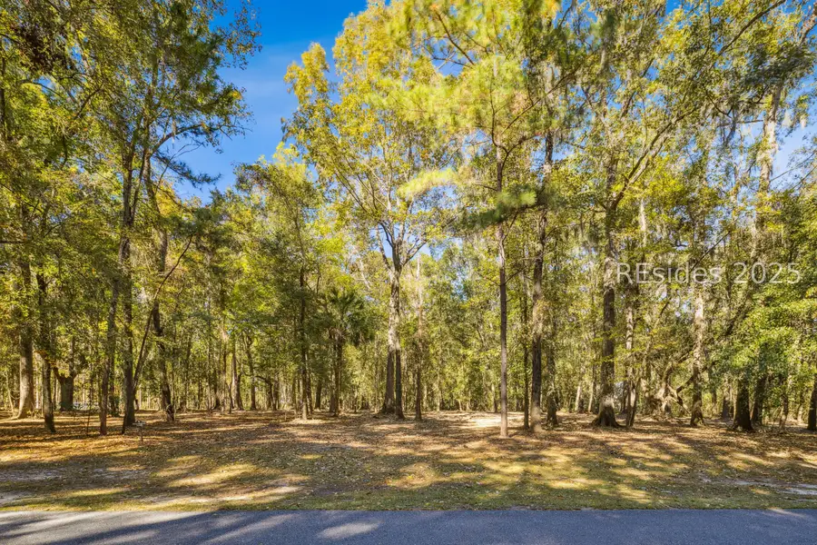 217 Mcallister Landing, Richmond Hill, GA 31324 - Image #2