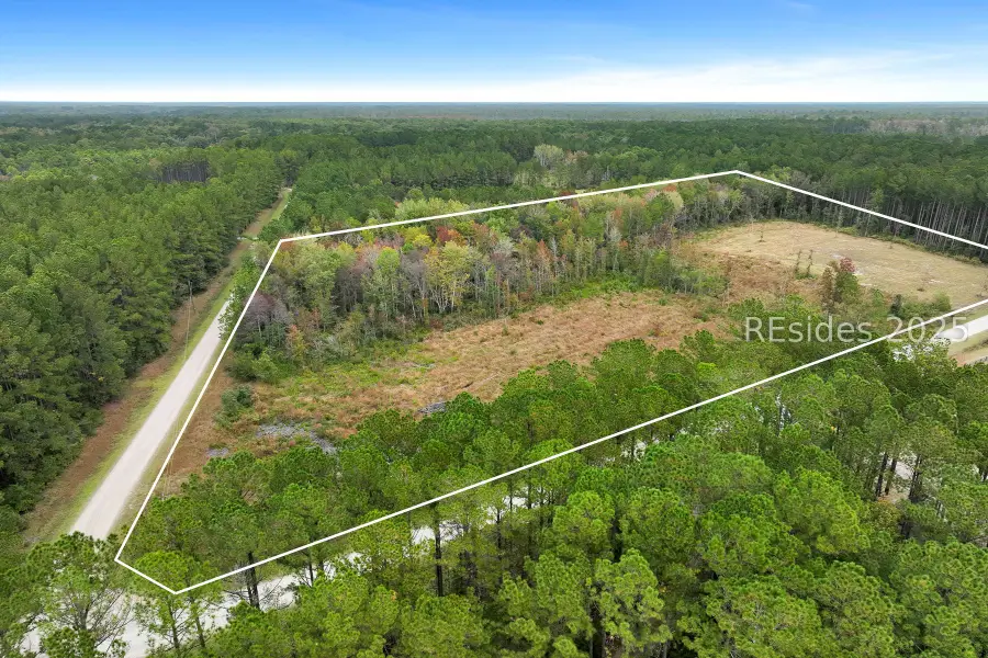 TBD Honey Hill Court, Ridgeland, SC 29936 - #3