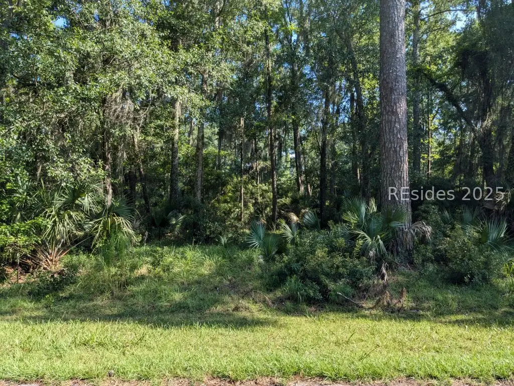 282 Oakridge Lane, Daufuskie Island, SC 29915 - Image #1