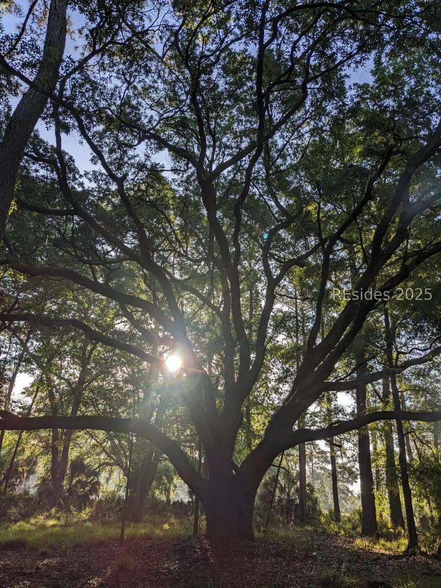 282 Oakridge Lane, Daufuskie Island, SC 29915 - Image #3