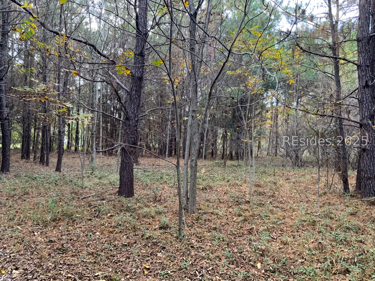 33 Pearl Harbour Drive, Saint Helena Island, SC 29920 - Image #1