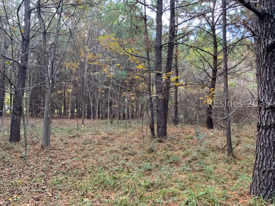 33 Pearl Harbour Drive, Saint Helena Island, SC 29920 - Image #3