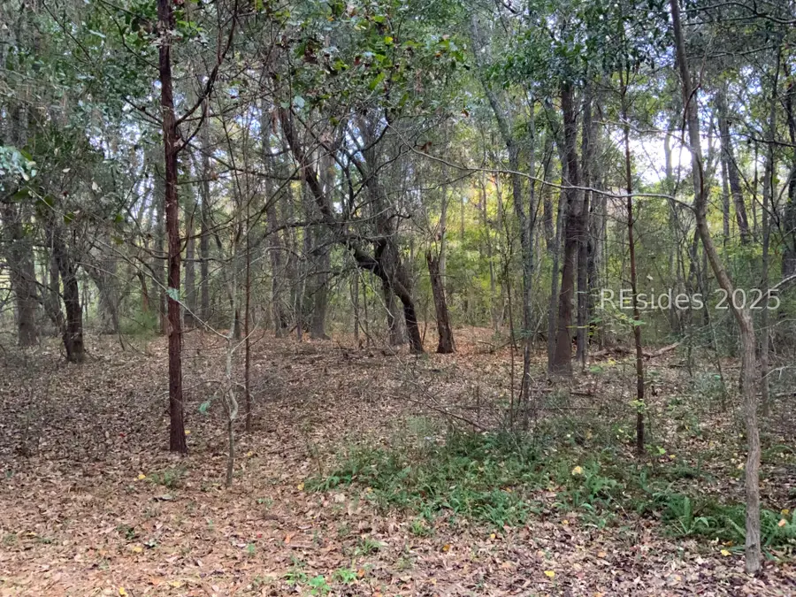 TBD Pearl Harbor Drive, Saint Helena Island, SC 29920 - Image #2