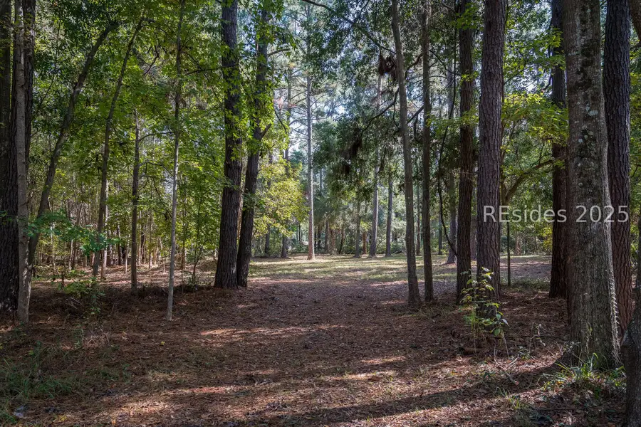 36 Bee Tree Drive, Okatie, SC 29909 - Image #2