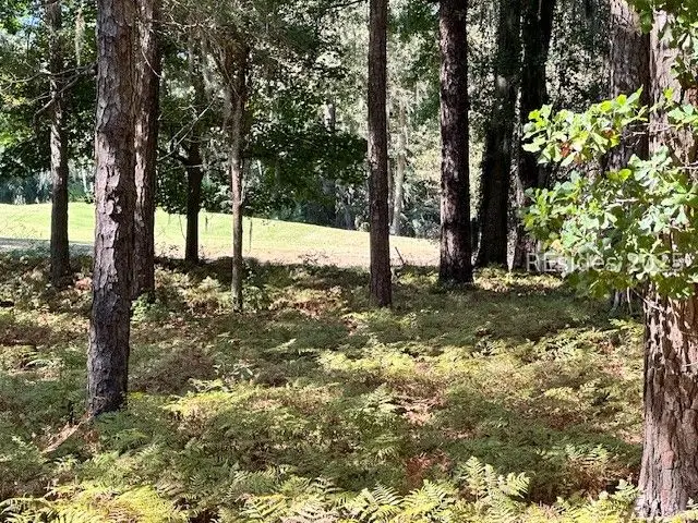 231 Fort Howell Drive, Hilton Head Island, SC 29926 - Image #2