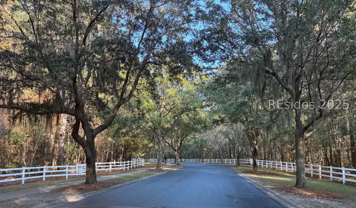 287 Old Bridge Drive, Bluffton, SC 29910 - #1