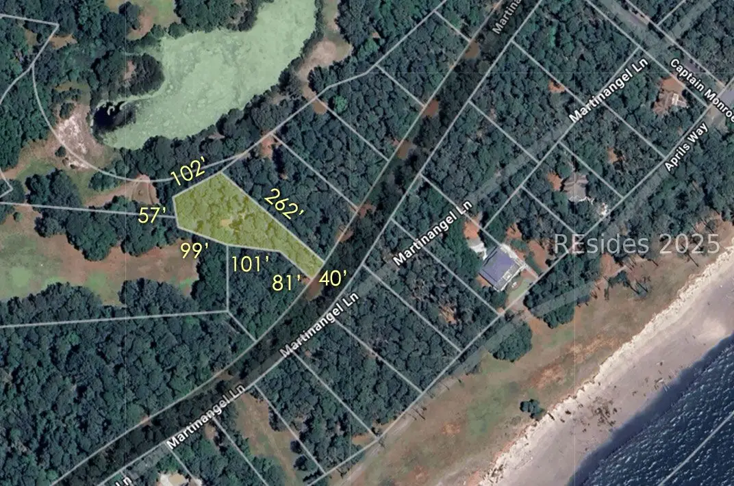 89 Martinangel Lane, Daufuskie Island, SC 29915 - #1